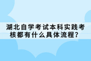 湖北自學(xué)考試本科實踐考核都有什么具體流程？
