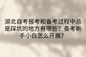 湖北自考報考和備考過程中總是踩坑的地方有哪些？備考新手小白怎么開展？