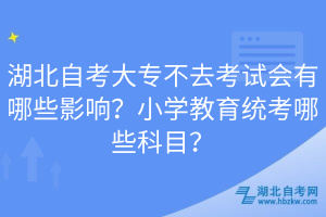 湖北自考大專不去考試會(huì)有哪些影響？小學(xué)教育統(tǒng)考哪些科目？