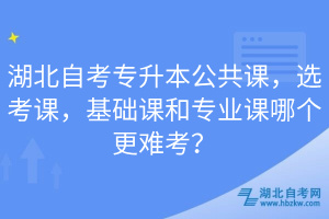 湖北自考專升本公共課，選考課，基礎(chǔ)課和專業(yè)課哪個更難考？