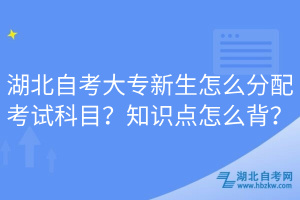 湖北自考大專新生怎么分配考試科目？知識點怎么背？
