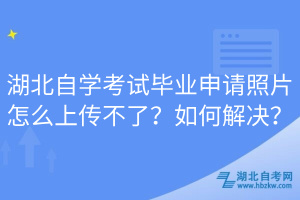 湖北自學(xué)考試畢業(yè)申請照片怎么上傳不了？如何解決？