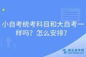 小自考統(tǒng)考科目和大自考一樣嗎？怎么安排？