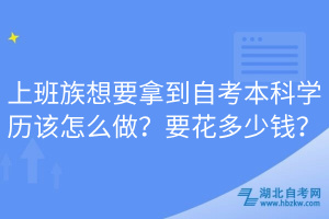上班族想要拿到自考本科學歷該怎么做？要花多少錢？
