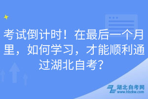 考試倒計時！在最后一個月里，如何學(xué)習(xí)，才能順利通過湖北自考？