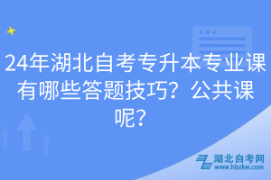 24年湖北自考專升本專業(yè)課有哪些答題技巧？公共課呢？