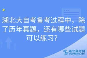 湖北大自考備考過(guò)程中，除了歷年真題，還有哪些試題可以練習(xí)？