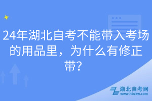 24年湖北自考不能帶入考場的用品里，為什么有修正帶？
