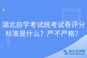 湖北自學考試統(tǒng)考試卷評分標準是什么？嚴不嚴格？
