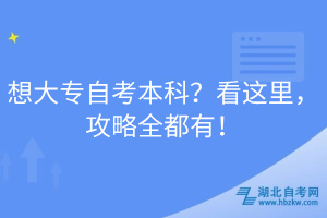 想大專自考本科？看這里，攻略全都有！