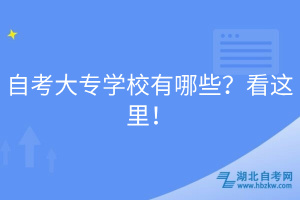 自考大專(zhuān)學(xué)校有哪些？看這里！