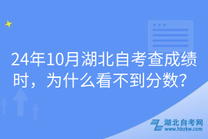 24年10月湖北自考查成績時，為什么看不到分?jǐn)?shù)？