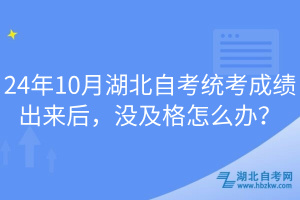 24年10月湖北自考統(tǒng)考成績出來后，沒及格怎么辦？