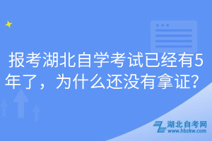 報考湖北自學考試已經(jīng)有5年了，為什么還沒有拿證？