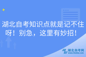 湖北自考知識(shí)點(diǎn)就是記不住呀！別急，這里有妙招！