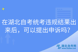 在湖北自考統(tǒng)考違規(guī)結(jié)果出來后，可以提出申訴嗎？