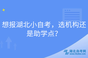 想報(bào)湖北小自考，選機(jī)構(gòu)還是助學(xué)點(diǎn)？