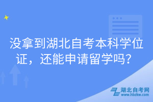 沒拿到湖北自考本科學(xué)位證，還能申請留學(xué)嗎？