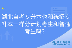 湖北自考專升本也和統(tǒng)招專升本一樣分計劃考生和普通考生嗎？