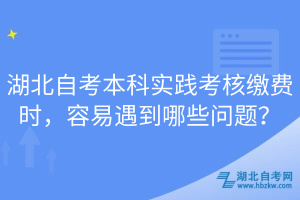 湖北自考本科實踐考核繳費時，容易遇到哪些問題？
