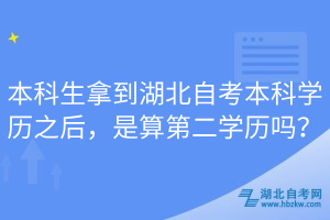 本科生拿到湖北自考本科學(xué)歷之后，是算第二學(xué)歷嗎？