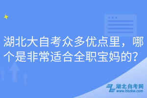 湖北大自考眾多優(yōu)點(diǎn)里，哪個(gè)是非常適合全職寶媽的？