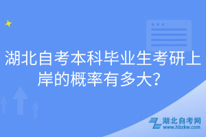 湖北自考本科畢業(yè)生考研上岸的概率有多大？