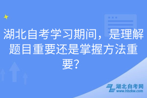 湖北自考學(xué)習(xí)期間，是理解題目重要還是掌握方法重要？