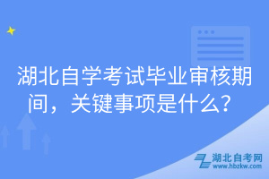 湖北自學(xué)考試畢業(yè)審核期間，關(guān)鍵事項是什么？