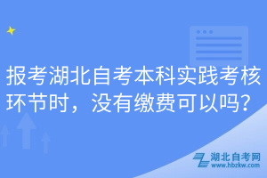 報(bào)考湖北自考本科實(shí)踐考核環(huán)節(jié)時(shí)，沒有繳費(fèi)可以嗎？