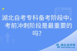 湖北自考?？苽淇茧A段中，考前沖刺階段是最重要的嗎？
