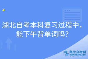 湖北自考本科復(fù)習(xí)過程中，能下午背單詞嗎？