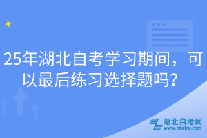 25年湖北自考學習期間，可以最后練習選擇題嗎？