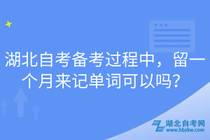 湖北自考備考過程中，留一個月來記單詞可以嗎？