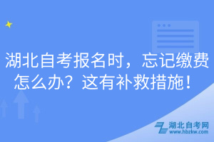 湖北自考報名時，忘記繳費怎么辦？這有補救措施！