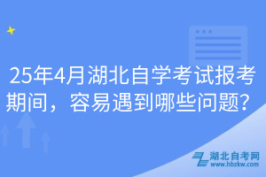 25年4月湖北自學(xué)考試報(bào)考期間，容易遇到哪些問題？