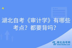 湖北自考《審計學》有哪些考點？都要背嗎？
