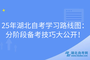 25年湖北自考學習路線圖：分階段備考技巧大公開！