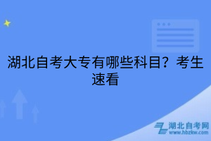 湖北自考大專有哪些科目？考生速看