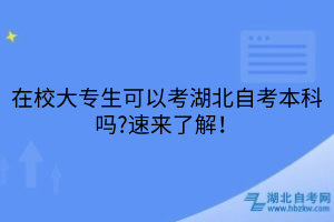 在校大專生可以考湖北自考本科嗎?速來了解！