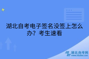 湖北自考電子簽名沒簽上怎么辦？考生速看