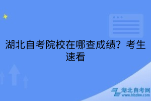 湖北自考院校在哪查成績？考生速看