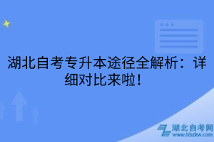湖北自考專升本途徑全解析：詳細(xì)對比來啦！