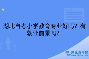 湖北自考小學(xué)教育專業(yè)好嗎？有就業(yè)前景嗎？