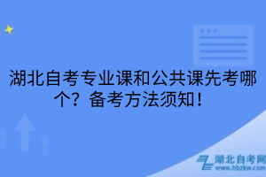 湖北自考專業(yè)課和公共課先考哪個？備考方法須知！