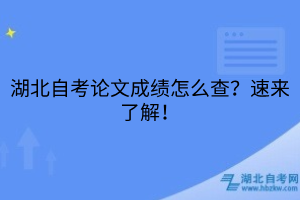 湖北自考論文成績怎么查？速來了解！
