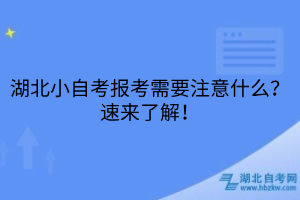 湖北小自考報考需要注意什么？速來了解！