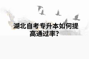 湖北自考專升本如何提高通過率？