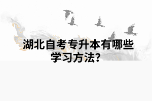 湖北自考專升本有哪些學(xué)習(xí)方法？
