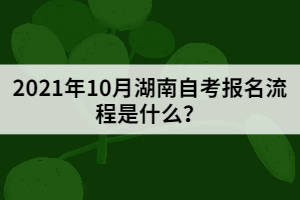 2021年10月湖南自考報(bào)名流程是什么？